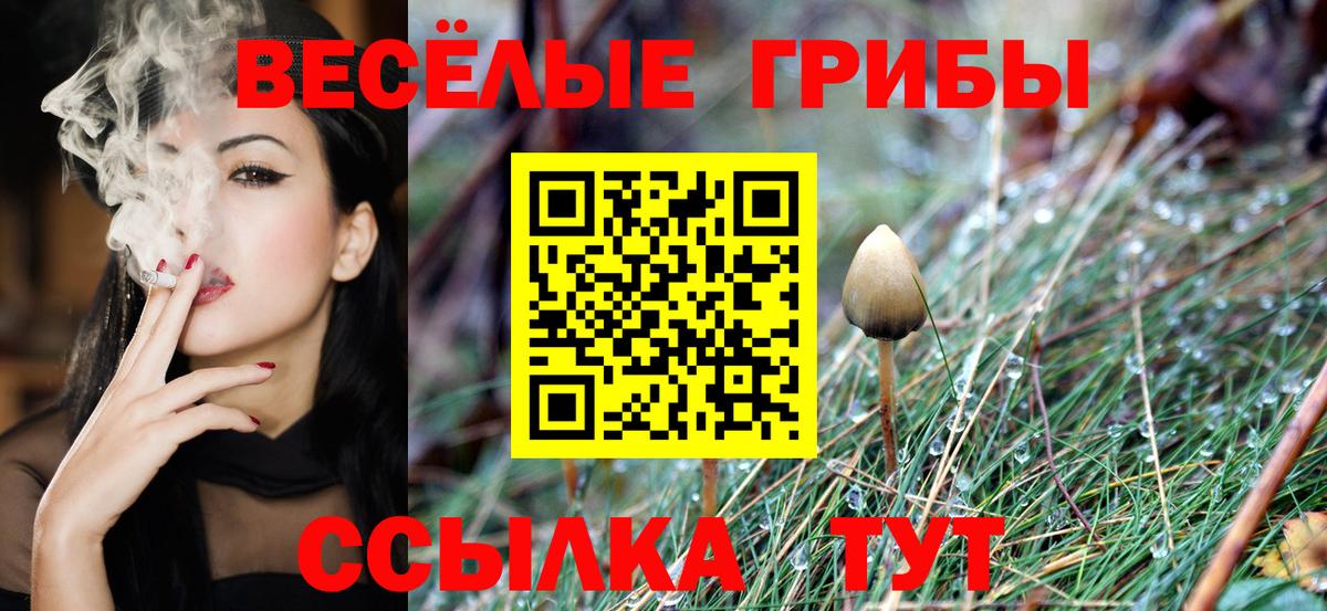 Псилоцибиновые грибы Magic Shrooms  Вход с VPN  цены   Саратов 