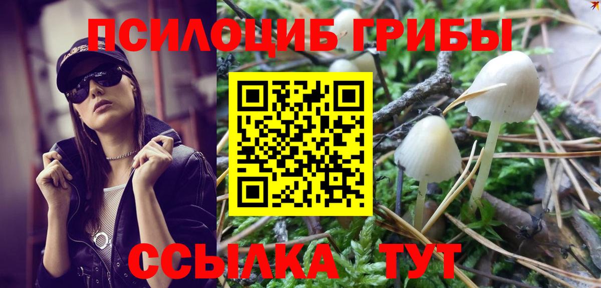 Псилоцибиновые грибы MAGIC MUSHROOMS Саратов